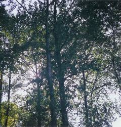 Untitled-3